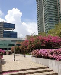 Toa Payoh Central (D12), Shop House #611829521